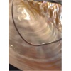 Collier chaine plate