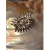 Broche dorée sur coquillage irisé.
