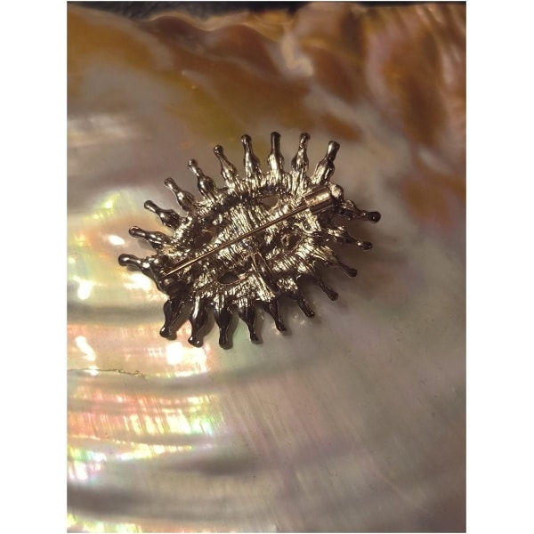 Broche oeil