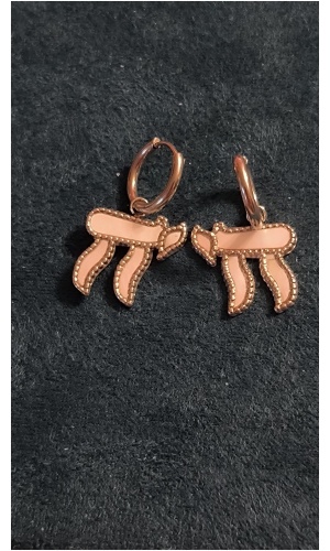 Boucle d'oreille Hai