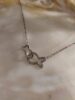 Collier Double Poisson