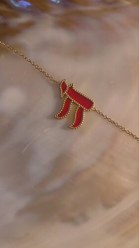 Bracelet Hai
