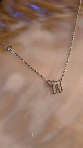 Collier hai