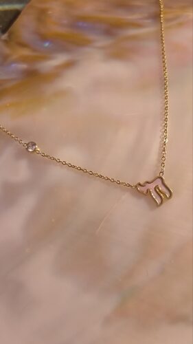Collier hai