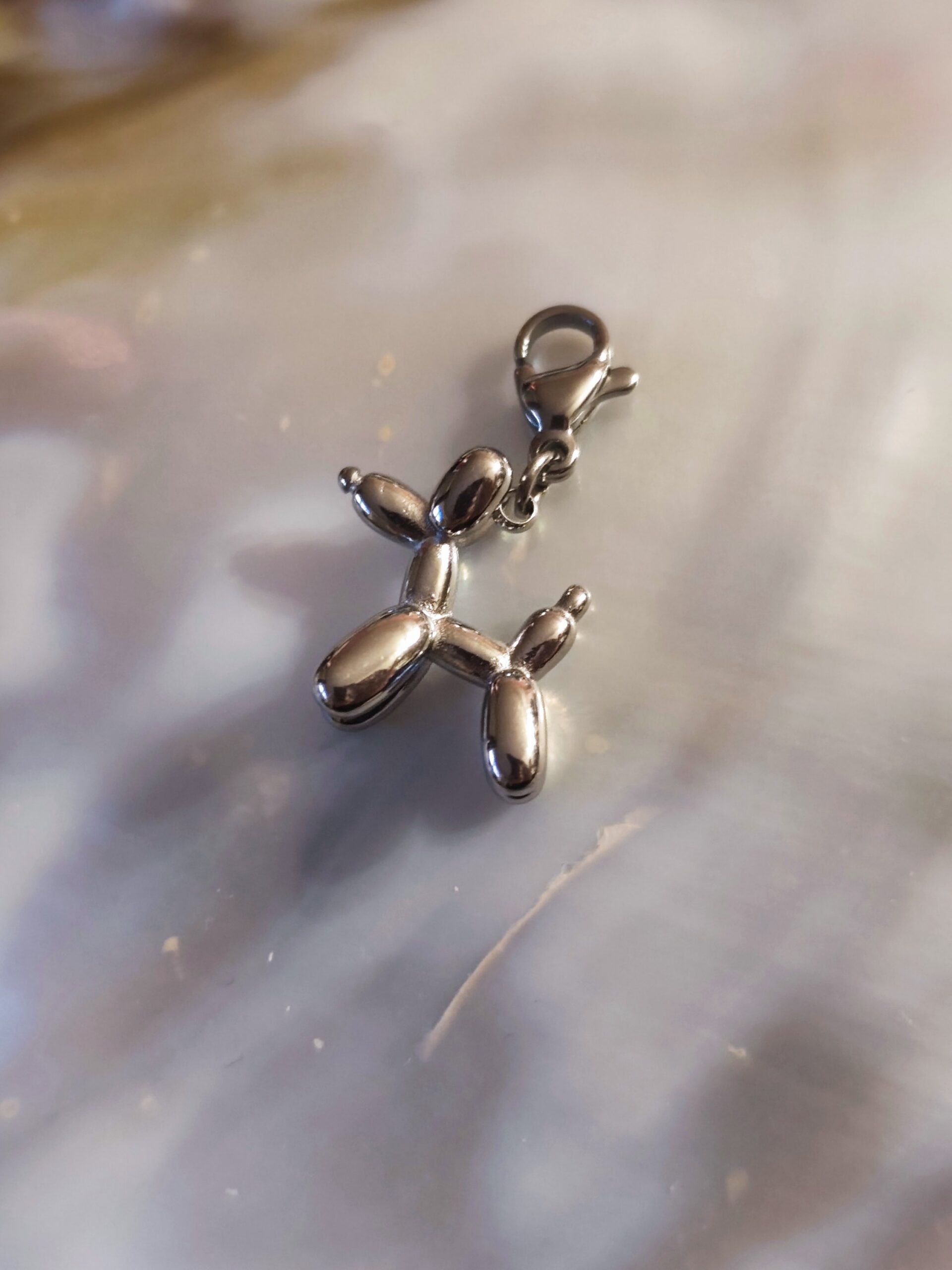 Charm petit chien
